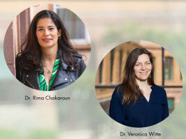 Metaorganismus Mensch: Adipositas individuell verstehen