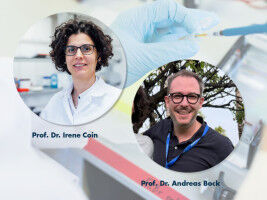 Studie an lebenden Zellen enth�llt neue Erkenntnisse �ber Membranrezeptoren