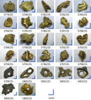 Wie Piratengold sich als Kulturerbe entpuppt