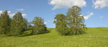 3,8 Millionen für deutsch-russisches Forschungsvorhaben