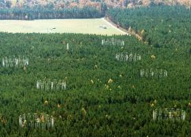 Abbau alter Böden verstärkt den Klimawandel