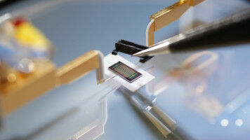 Änderung der elektrischen Leitfähigkeit macht Virusmaterial sichtbar