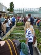 F�hrung am Tag des Botanischen Gartens 2012. Bild: Botanischer Garten Universit�
