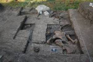 Altsteinzeitlicher Schlachtplatz f�r Elefanten in Griechenland entdeckt