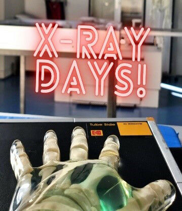 Copyright: Roman P�hler / MHH