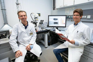 Anti-Aging: Spermidin mindert Haarausfall und sch�tzt das Herz