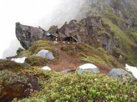 Auf der Suche nach neuen Rhododendron-Arten