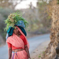 AUGENBLICKE - Ilmenauer Fotostammtisch zeigt beste Aufnahmen in der Universit�tsbibliothek Ilmenau