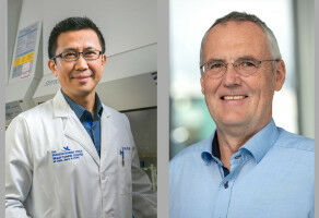 Ausgezeichnete Diagnose von Hirntumoren