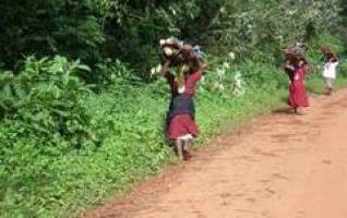 ,,Bedrohte Regenw�lder Ostafrikas