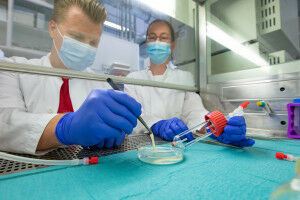 Biological heart chamber from the laboratory