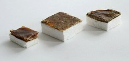 Carl-Zeiss-F�rderung: Baumaterialien wie Insektenpanzer