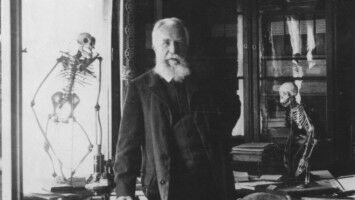 Das Handy als Ernährungsberater