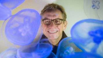 Den Bauplan des Lebens entschl�sseln