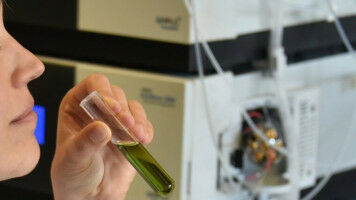 Den Geruchsinn digitalisieren