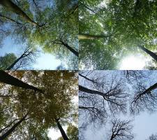 Der Geheimcode der Ökosysteme