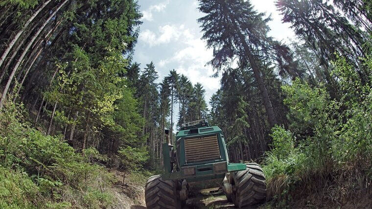 Eine Forstmaschine in einem Wald. Der Begriff Nachhaltigkeit stammt ursprünglich
