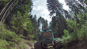 Der Ursprung des Begriffs Nachhaltigkeit