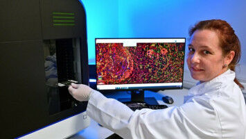 Die Entwicklung von Tumorstrukturen - vielfarbig, zell- und mikrometergenau