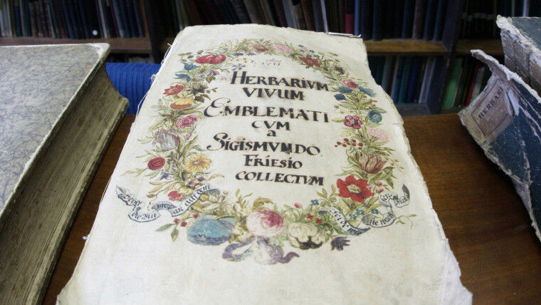 Das neue Institut in Jena beherbergt unter anderem das Herbarium Haussknecht - m