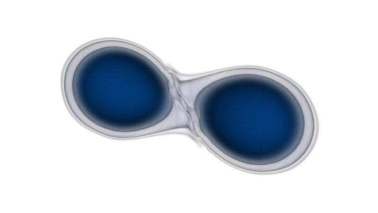 Simulation der Verschmelzung zweier Neutronensterne (Darstellung der Massendicht