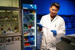 DNA als Baustoff f�r winzige Maschinen und k�nstliche Zellen