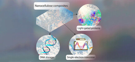 DNA-Chips als Speichermedien der Zukunft