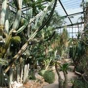 Foto: Nils K�ster, Universit�t T�bingen