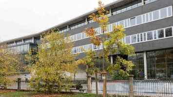 Ein Baum f�r Jane Goodall