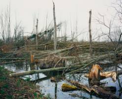 Ein Erfolgsrezept für Klimakonferenzen?