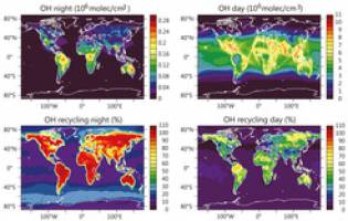 Ein Katalysator für saubere Regenwaldluft