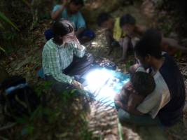 Ein Lexikon der Düfte