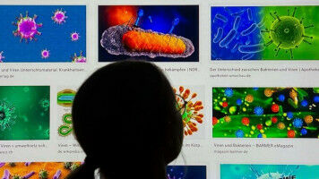 Eine Datenbank f�r Viren aufbauen