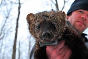 Einfach mal die Tiere fragen!