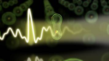 Elektronen im Reaktionstest