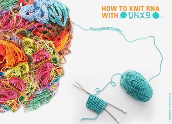 Die menschlichen Gene sind mit zahlreichen DNA-Sequenzen durchsetzt, die als &ls