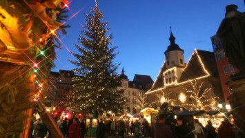 Erhellende Einblicke in die