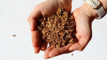 Erst Bier brauen, dann Energie speichern