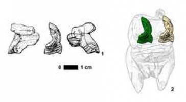 ,,Es muss eigentlich eine Frau sein