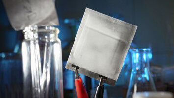 Europas Agrarlandschaften gehen die insektenfressenden Vögel aus