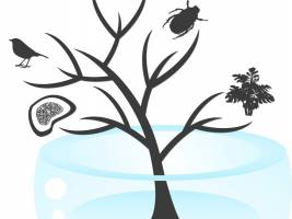 Evolution: Am Ursprung der allerersten Art