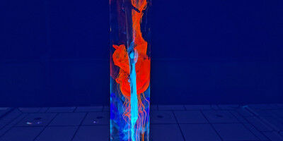 Fachbereich Chemie und Pharmazie l�dt zur Weihnachtsvorlesung ein