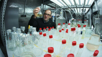 F�rderliche Krisen