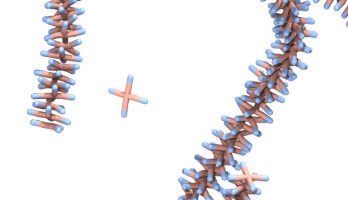 Forschen im Tandem: Mainzer Chemie und Stuttgarter Physik