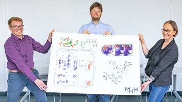Forschung für besseren Impfstoff gegen Meningitis