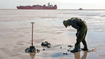 Forschung zum Mitmachen