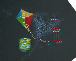 From the Little Brother of Benzene to Deltic Liquid Crystals
