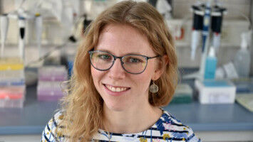 Gelbe Naturfarbstoffe aus Licht und CO2