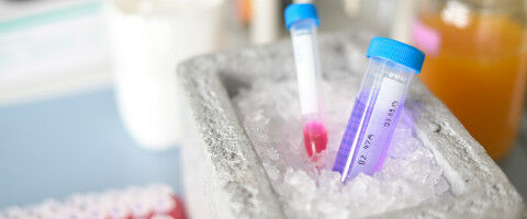 Gesundheitsbildung f�r Alle