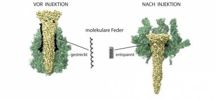Giftspritze mit Gummiband